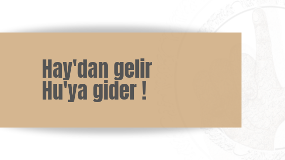 haydan-gelen-huya-gider